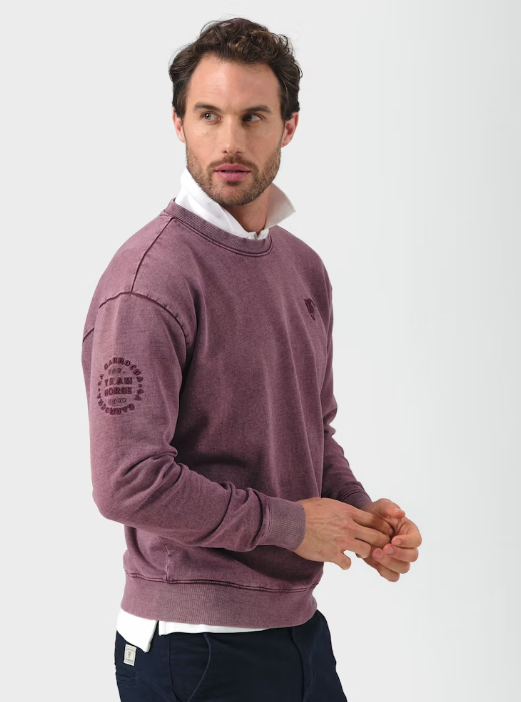 SUDADERA TEAM MALVA