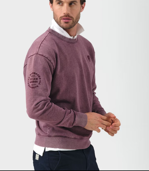SUDADERA TEAM MALVA